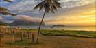 Lord Howe Island - NSW SQ (PBH4 00 11624)